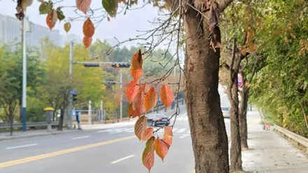 쏘렌토 출고 후 받는 썬팅 신차패키지 가성비 따진다면 / 하남 풍산동