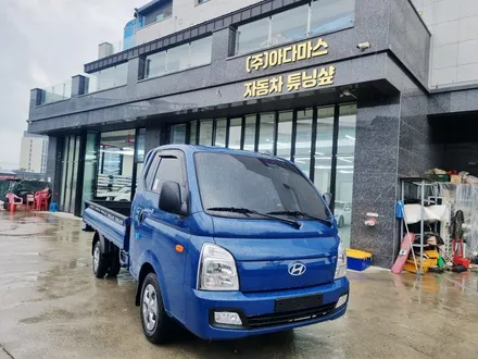 포터2 차바닥 프라데코 + 레이노 카본 썬팅 시공 후기 / 하남 풍산동