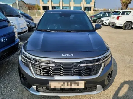 셀토스 신차 썬팅으로 추천 현대웰슨 해머슨 h6s / 하남 풍산동