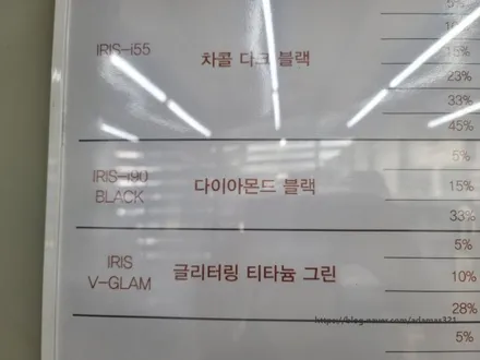 강동 썬팅 카니발 하이리무진 9인승 레인보우 i90 사이드스텝 후기 / 하남 풍산동