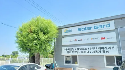 테슬라 모델 y 썬팅 (윈도 틴팅) 쉐이빙까지 완벽해! / 하남 풍산동