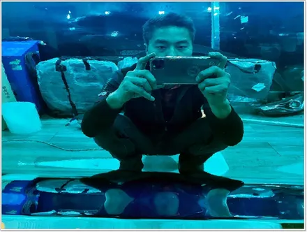 아반떼ad스포츠블루크롬랩핑 헥시스 슈퍼크롬 라이트블루크롬전체랩핑 및 나노커버 전체ppf시공 입니다. / 안산 상록구