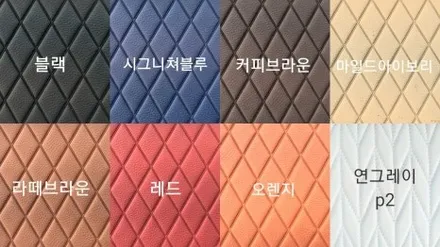 카니발 모빌하임 모노륨 신상컬러 P3 그레이! / 인천 서구 백석동
