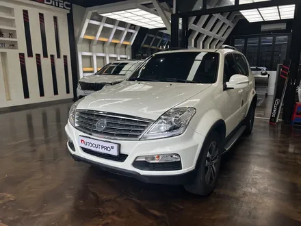 렉스턴W 이비오스 CX90 윈도틴팅. / 고양 덕양구 동산동