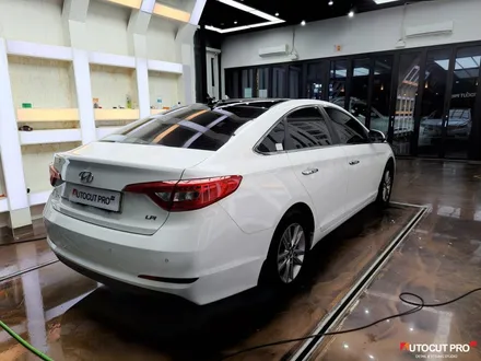 택시부활차로 새롭게 태어난 LF쏘나타 LPG.. 이비오스 CX60 필름으로 썬팅재시공. / 고양 덕양구 동산동