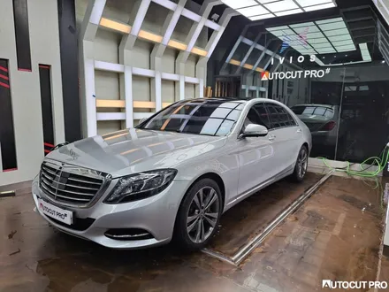 Mercedes-Benz  W222 S500 전체랩핑 / 그레이에서 블랙펄로 변신. / 고양 덕양구 동산동