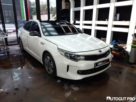 KIA K5 기존 루프스킨 필름제거 후 3M4D카본 파주 루프스킨 시공. / 고양 덕양구 동산동