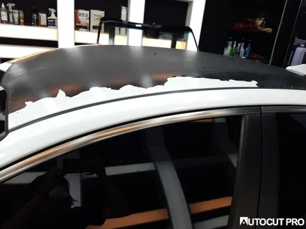 KIA K5 기존 루프스킨 필름제거 후 3M4D카본 파주 루프스킨 시공. / 고양 덕양구 동산동