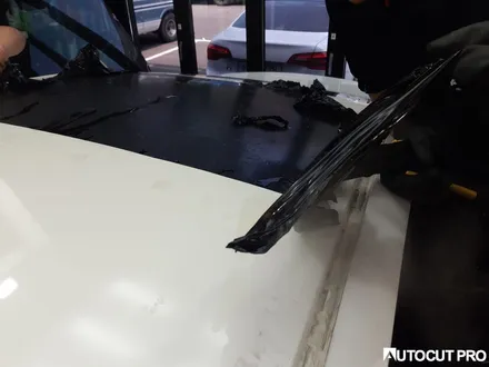 KIA K5 기존 루프스킨 필름제거 후 3M4D카본 파주 루프스킨 시공. / 고양 덕양구 동산동