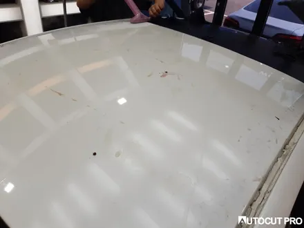 KIA K5 기존 루프스킨 필름제거 후 3M4D카본 파주 루프스킨 시공. / 고양 덕양구 동산동