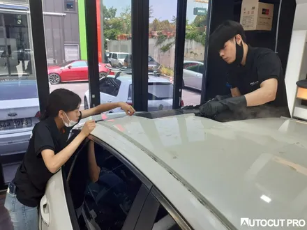 KIA K5 기존 루프스킨 필름제거 후 3M4D카본 파주 루프스킨 시공. / 고양 덕양구 동산동