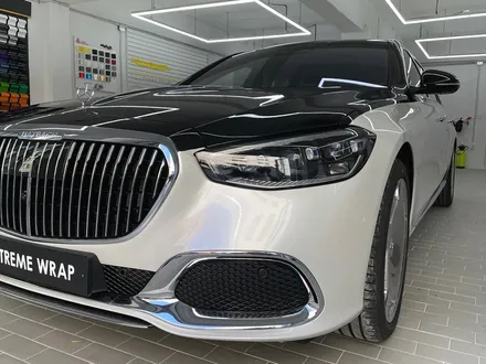 전체 PPF 보호필름 벤츠 마이바흐 S580 - 벤츠 PPF / 강남,개포,서초