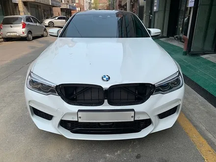BMW M5 카본 부분 랩핑 - 카본랩핑 - 자동차랩핑샵 - 강남랩핑샵 / 강남,개포,서초