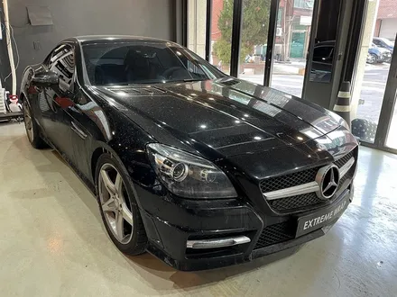 벤츠 SLK \'사틴 카마인 레드\' 전체 랩핑 - 벤츠 래핑 - AMG 랩핑 / 강남,개포,서초
