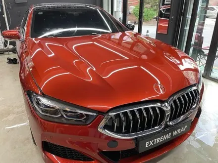 BMW 840i PPF 보호필름 & 랩핑 제거 시공 - 8시리즈 랩핑 - 자동차 PPF / 강남,개포,서초