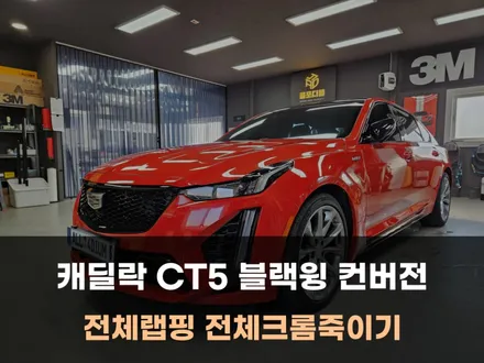 캐딜락 CT5 블랙윙 완벽한 컨버전 만들기 / 천안 아산 랩핑 / 아산 음봉면