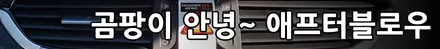 대체 신차 검수(새차 검수) 어떻게 하나 봤더니..... 신차검수 잘하는 오토인의 특별한 외장 검수 방법