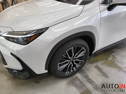 i♥오토인 렉서스 NX350h 신차 패키지 / 신차 검수 + 브이쿨 MR 썬팅 + PPF 생활보호 4종