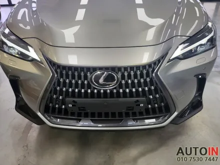 i♥오토인 렉서스 NX350h 신차 패키지 / 신차 검수 + 브이쿨 MR 썬팅 + PPF 2종 + 신차 유리막
