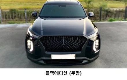 팰리세이드 튜닝 고민하고 계신가요? / 부산, 기장