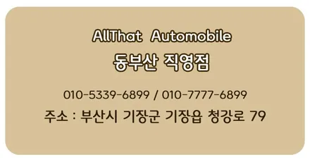 부산 튜닝 썬팅 신차패키지 전문 차량보호필름 PPF / 부산, 기장