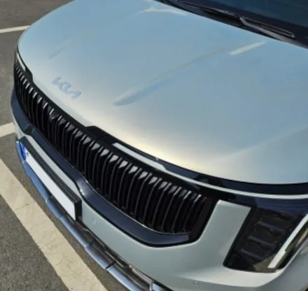 부산 신형 카니발 튜닝 세로 그릴 어때요? / 부산, 기장