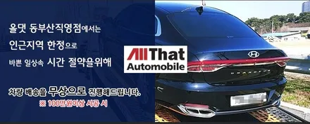 부산 썬팅 신차패키지 전문점 올댓부산 팰리세이드 / 부산, 기장