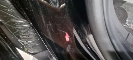 화성 동탄 신형 카니발 튜닝 썬팅 신차패키지 외장관리 전문시공 / 화성시 반월동
