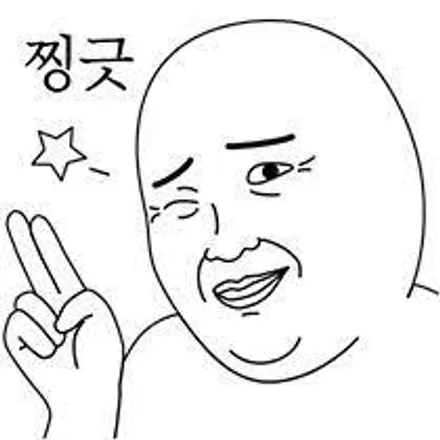 [부분랩핑] 에쿠스 / 평택 팽성읍