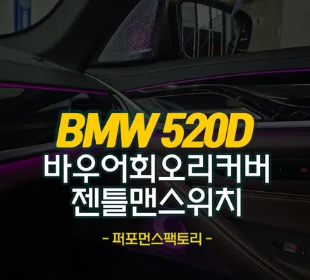 BMW G30 엠비언트 무드등 회오리커버 바우어앤윌킨스 젠틀맨 순정스위치 피에조부저 비프음 작업 후기