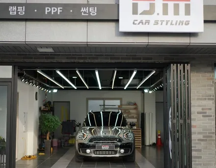 대구랩핑 / 미니쿠퍼 컨트리맨 멜빵데칼 랩핑(바이퍼라인)&PPF라이트패키지 / 디엠달서점 / [달서구,대곡,상인동,월배,진천동,화원,달성군,성서,현풍,구지,경북 라인데칼 랩핑] / 대구 달서구