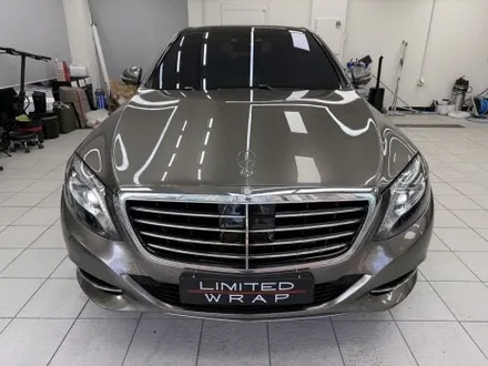 벤츠 s350d 전체 랩핑 - 양재동 랩핑, PPF / 서울 서초구 양재동
