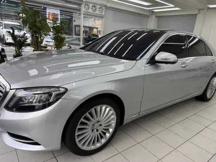 벤츠 s350d 전체 랩핑 - 양재동 랩핑, PPF / 서울 서초구 양재동