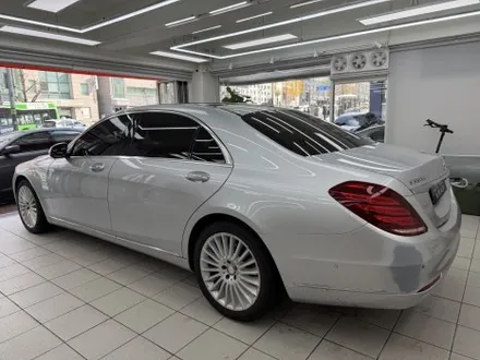 벤츠 s350d 전체 랩핑 - 양재동 랩핑, PPF / 서울 서초구 양재동