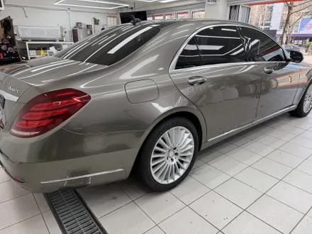 벤츠 s350d 전체 랩핑 - 양재동 랩핑, PPF / 서울 서초구 양재동