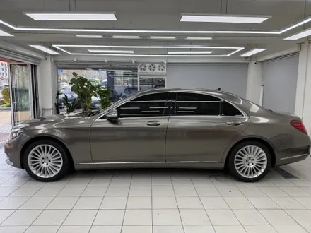 벤츠 s350d 전체 랩핑 - 양재동 랩핑, PPF / 서울 서초구 양재동