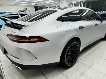 AMG GT 43 전체 컬러 PPF - 강남 컬러 PPF / 서울 서초구 양재동
