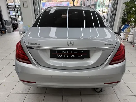 벤츠 s350d 전체 랩핑 - 양재동 랩핑, PPF / 서울 서초구 양재동