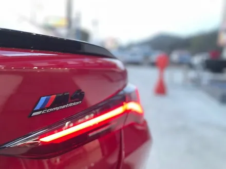 ☆BMW M4 생활보호 PPF 시공은 랩몬스터☆ / 창원시 마산회원구