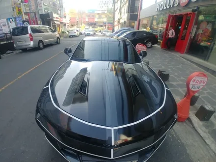 카마로SS 루프스킨 스포일러랩핑 트론데칼랩핑 / 창원시 마산회원구