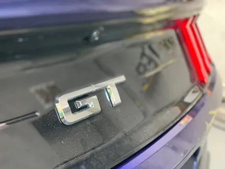 ☆머스탱5.0GT 바이퍼라인 시공은 창원 랩몬스터☆ / 창원시 마산회원구
