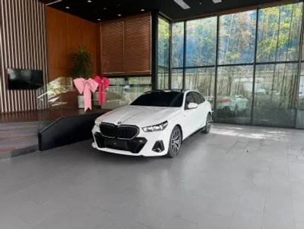 ☆BMW5시리그 키드니그릴 랩핑은 창원 랩몬스터☆ / 창원시 마산회원구