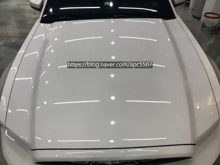 머스탱 바이퍼 데칼 랩핑시공[#용산구랩핑][#용산구래핑][#이촌동랩핑][#이촌동래핑][#마포구랩핑][#마포구래핑] / 용산구 문배동