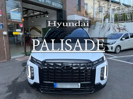남양주 펠리세이드 루프스킨 랩핑 만으로 완벽 포인트 효과! / 하남 풍산동