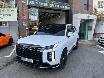 남양주 펠리세이드 루프스킨 랩핑 만으로 완벽 포인트 효과! / 하남 풍산동