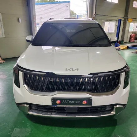 ★★카니발 엠비언트 시공★★ 수원 튜닝 오산 튜닝 화성 튜닝