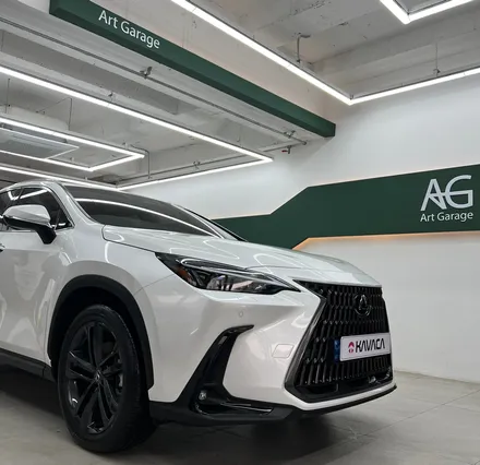 수원PPF 생활보호패키지 셀프PPF 시공? 렉서스 NX350h / 성남 판교 수정구