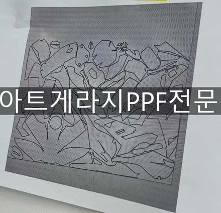 이 비싼 카본을 그냥 탄다고? BMW바이크 M1000R 필수 전체PPF / 성남 판교 수정구