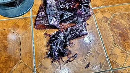 평택썬팅 아반떼md 뽀글이 후면 버블썬팅 재시공