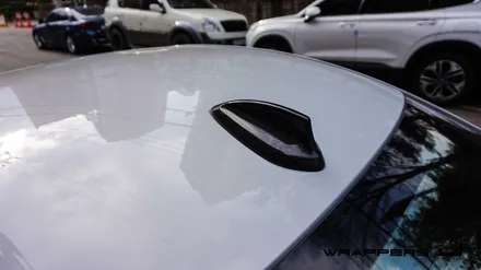 F87 BMW M2 카본PPF 루프스킨 / 서울 마포구